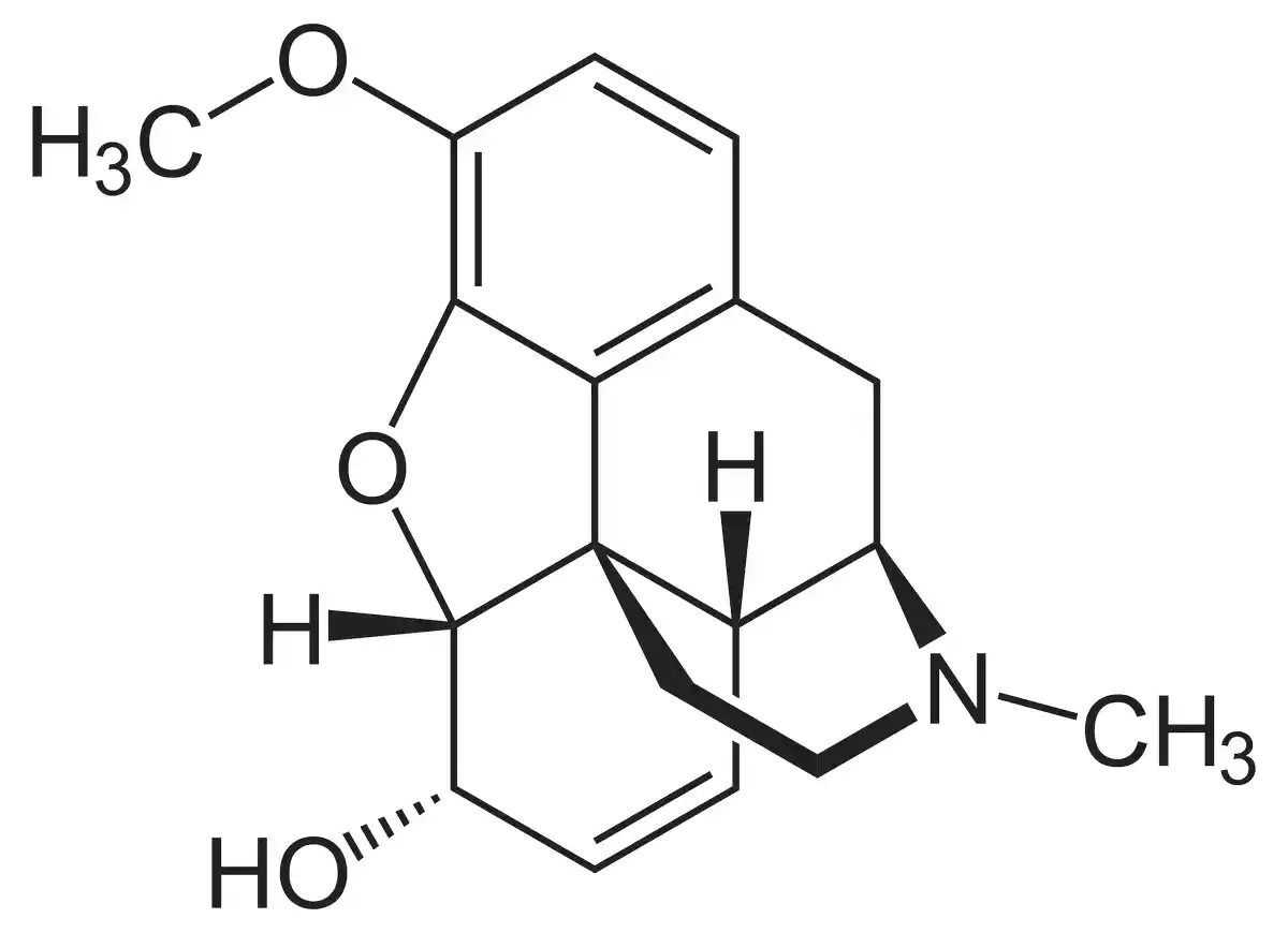 Codeine side effects may be mitigated through proper dosing